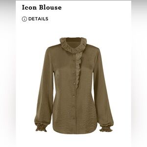 Cabi Icon Blouse - Size Medium NWT